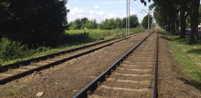 Nie znikną tramwaje do Leśnicy