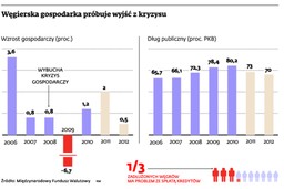 Zagraniczne banki maja straty na Węgrzech, ale nie uciekają z tego rynku