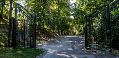 Park Bednarskiego odzyska dawny blask. Rewitalizacja coraz bliżej