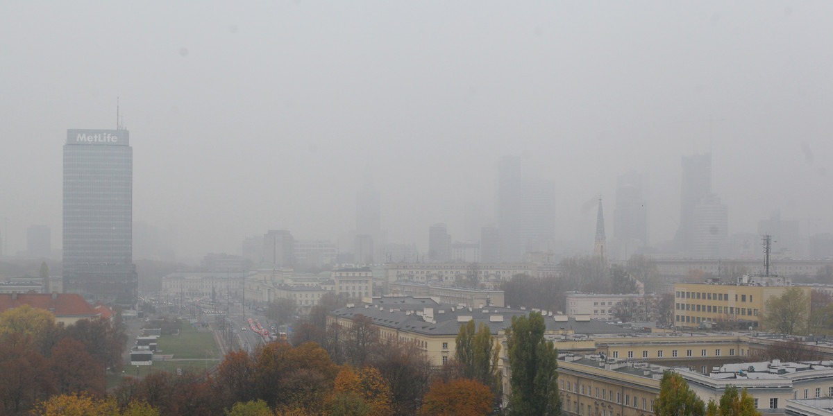 Aktywiści obawiają się smogu w stolicy