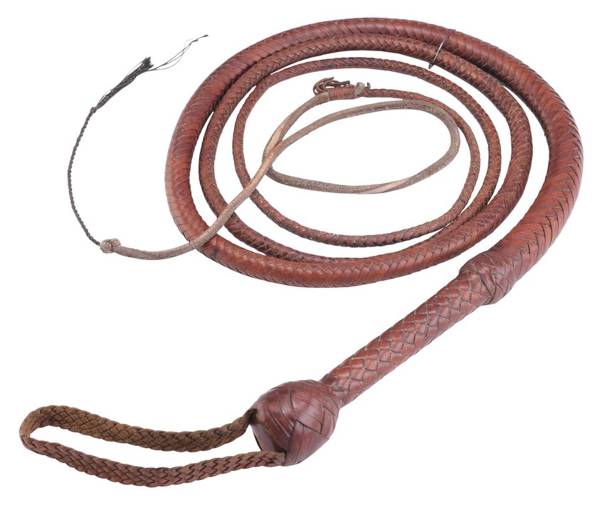 bič Indijane Džons