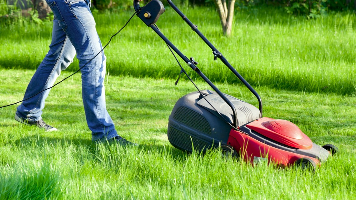 Po akcji "Jesienny Liść" krakowskie MPO rusza z kolejną akcją odbierania odpadów od mieszkańców. Tym razem za darmo będzie można oddawać skoszoną trawę, ścięte części roślin, gałęzie i liście. Początek odbiorów od 27 kwietnia.