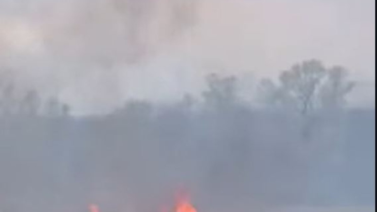 Požar niskog rastinja između Pojata i Kruševca