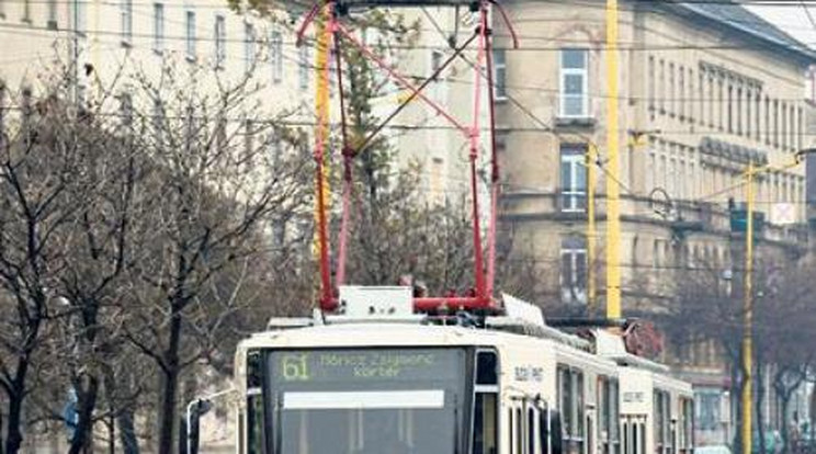 Bravúros műtéttel varrták vissza az elgázolt fiú lábát