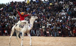 Polski rynek nie ma pomysłu na usługi dla singli