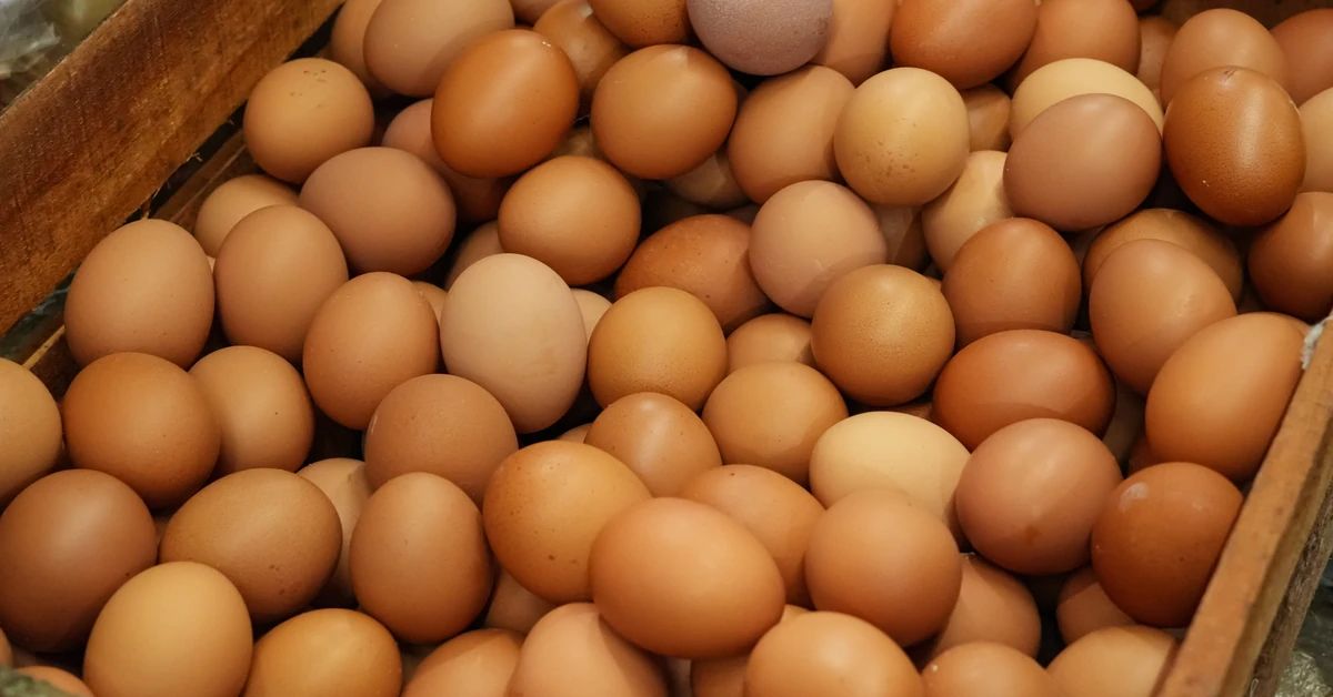 Alert GIS: tych jajek nie kupuj na święta. Zagrożenie dla zdrowia