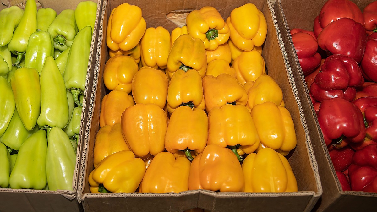 Kuvari biraju samo jednu vrstu paprika za punjenje