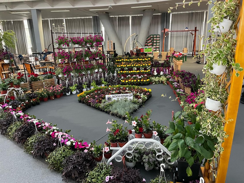 Izložba cveća iz plastenika VP Doma u Kruševcu
