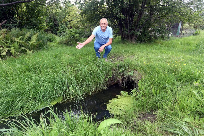 Zbigniew Kowalski (75 l.), prezes ogródków działkowych „Remontowiec"