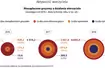 Raport NIK - mandaty dla kierowców w Polsce