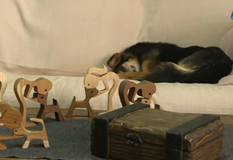 Željko pravi drvene figure i prodaje ih kako bi malo olakšao finansijsku situaciju