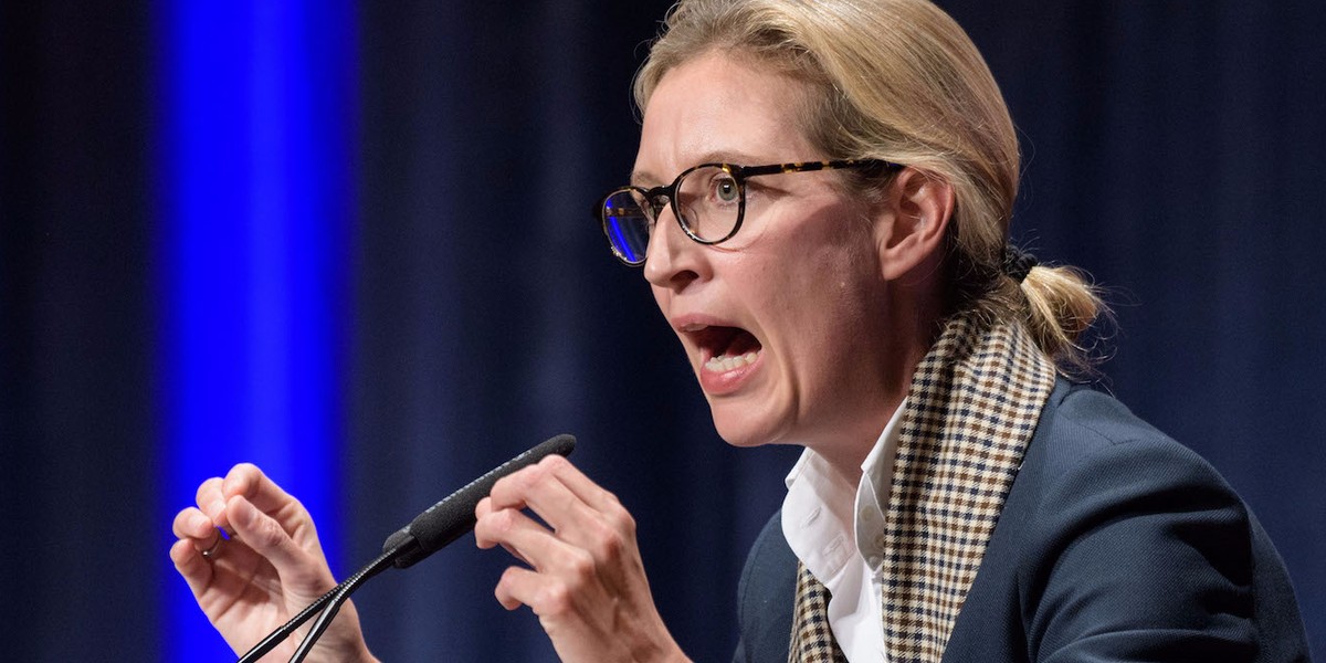 Germany's far-right party surged to its best election result since the Nazis — meet Marine Le Pen-like leader Alice Weidel