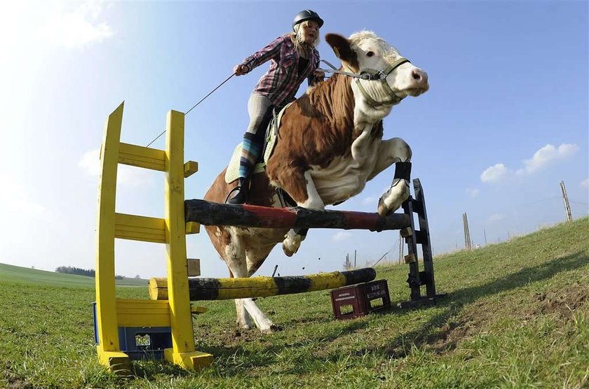 zdjęcia tygodnia, AP, Reuters, AFP