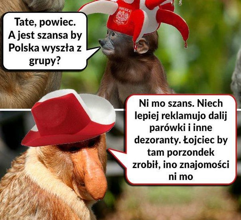 Memy po meczu Polska- Kolumbia