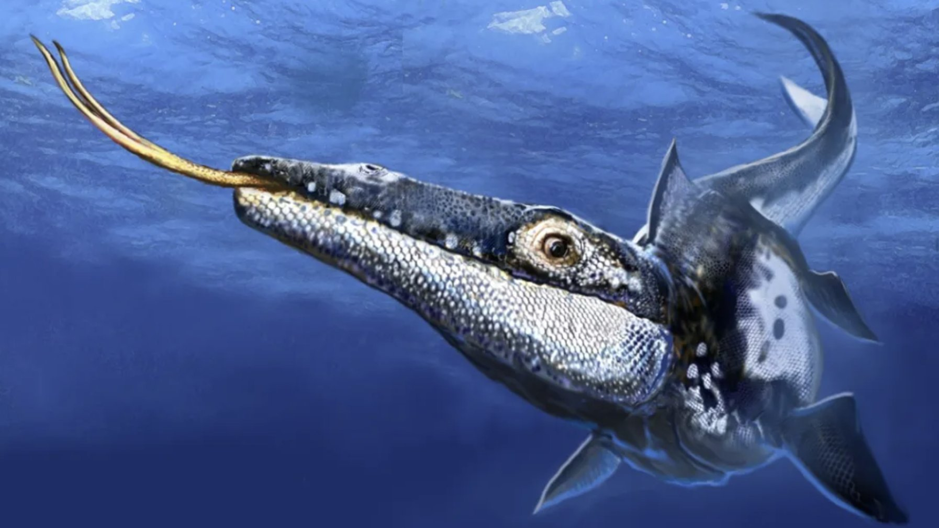 Vedci objavili nový druh obávaného morského predátora.