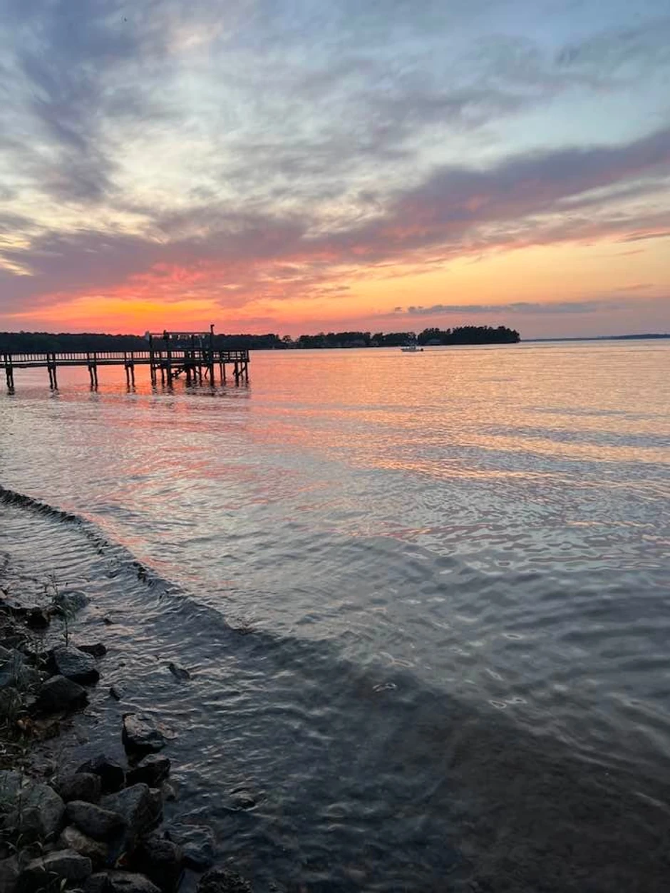 Mirjana Antonović 4