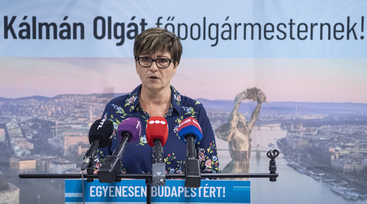 Kálmán Olga a DK jelöltje volt / Fotó: MTI - Szigetváry Zsolt