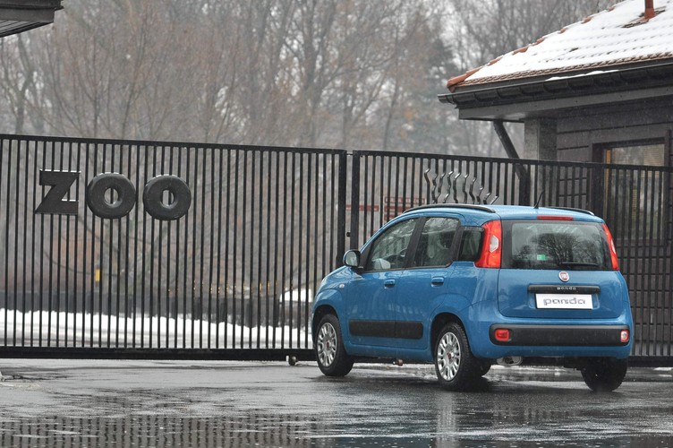 Fiat panda