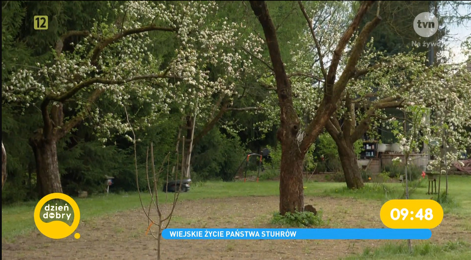 Wiejskie życie Macieja i Katarzyny Stuhrów w "Dzień dobry TVN"