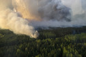 An aerial view from a helicopter shows smoke from forest fires in northern Ukraine