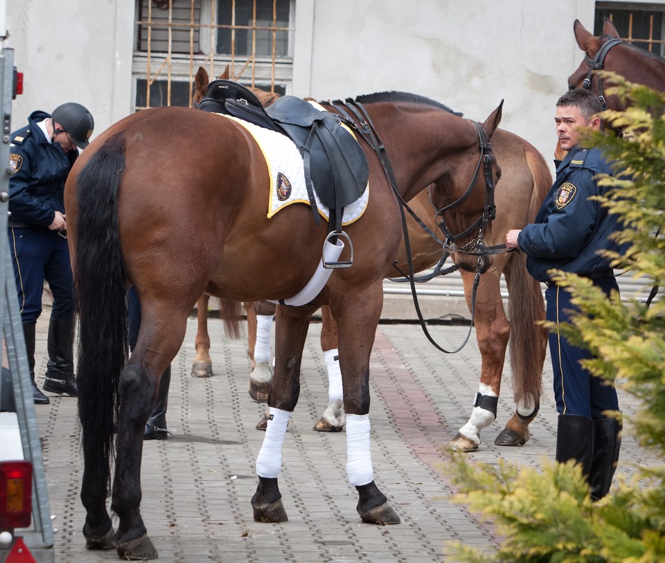 ŁÓDŹ SZKOLENIE KONNEJ STRAŻY MIEJSKIEJ