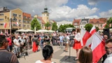 Ekspert miażdży antyimigranckie marsze. "Dzieło politycznych szarlatanów"