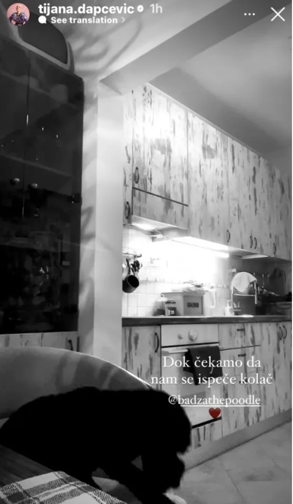 Kuhinja Tijane Dapčević