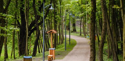 Ten park zachęca do spacerów. Przeszedł metamorfozę