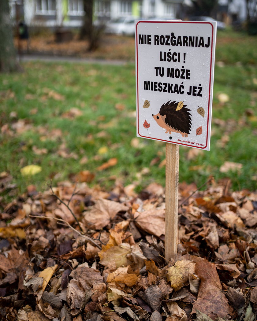 Uwaga! Tutaj może mieszkać jeż