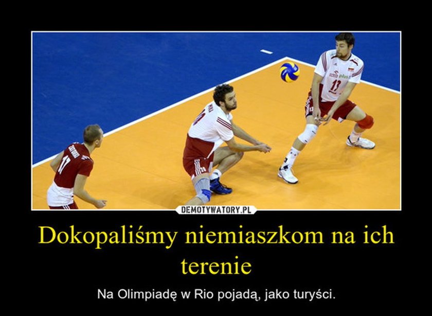 Memy po triumfie w meczu siatkarzy Niemcy - Polska 2:3