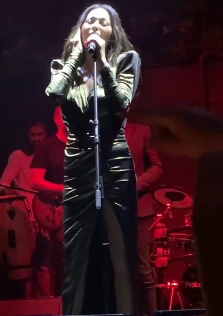 Ceca Ražnatović na veselju