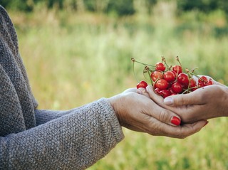 Ukraińskie owoce, mąka i miód pod specjalnym nadzorem