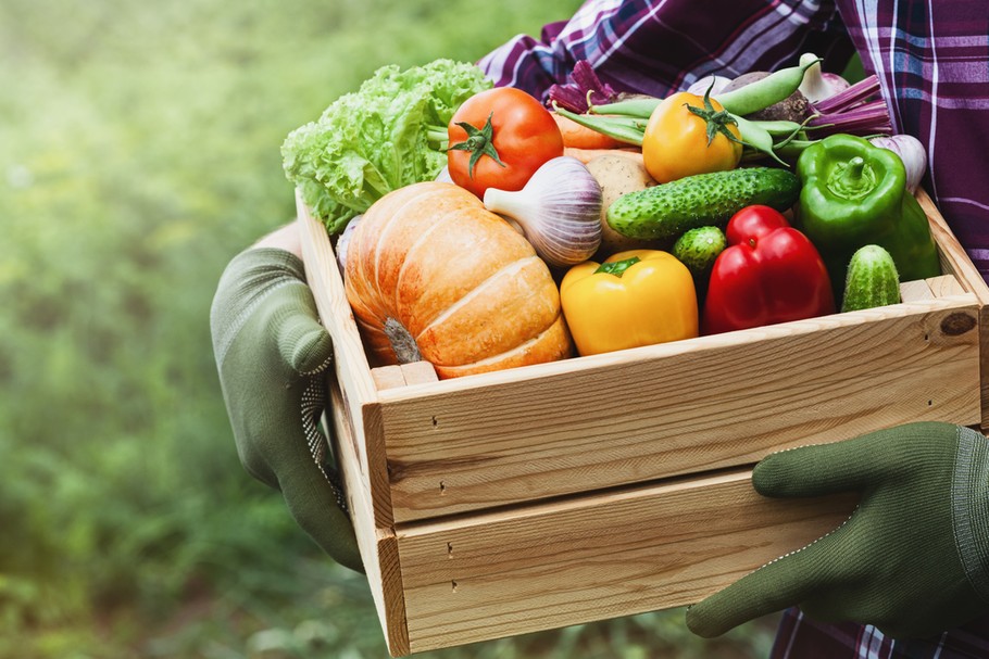 Firma Gastro Food dostarczała warzywa i owoce do sektora HoReCaod dziesięciu lat, a od ponad dwóch zajmowała się także dystrybucją świeżych owoców, ziół i warzyw jako hurtowy dostawca dla lokalnych sieci handlowych. Kanał HoReCa zawsze zapewniał ok. 65 proc. całej jej sprzedaży. - W momencie ogłoszenia stanu epidemiologicznego, obroty spadły nawet o 90 proc.