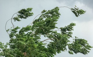 Państwowa Straż Pożarna: Ponad 3,3 tys. zgłoszeń w związku z silnym wiatrem