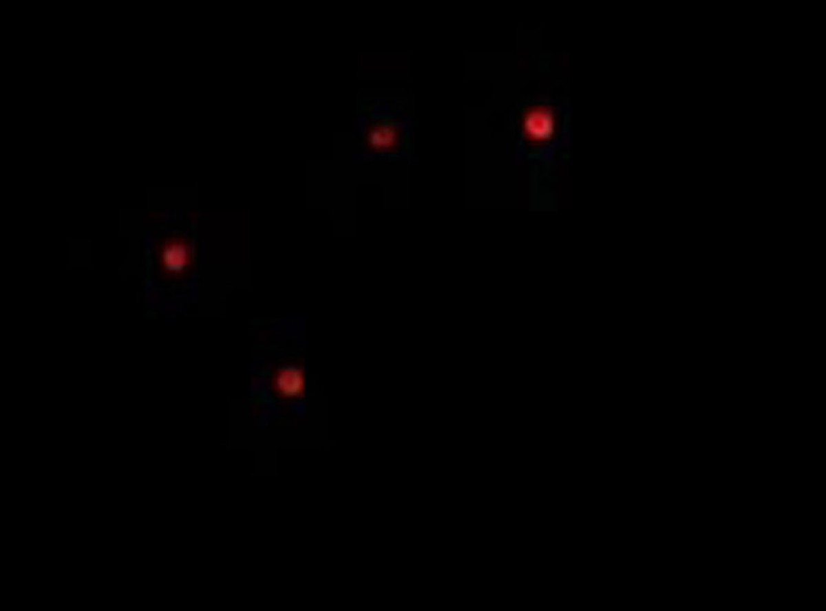 Miliony Amerykanów patrzyły na UFO