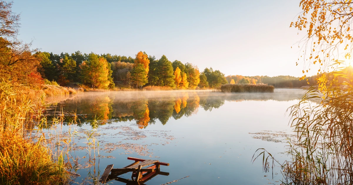 Prognozy biją na alarm. Czy to koniec jesieni, jaką znamy?