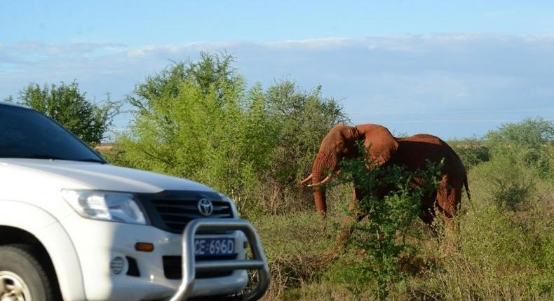 Twenty-six poachers have been caught at night by a new thermal and infrared camera in Kenya's Maasai Mara and its other national parks