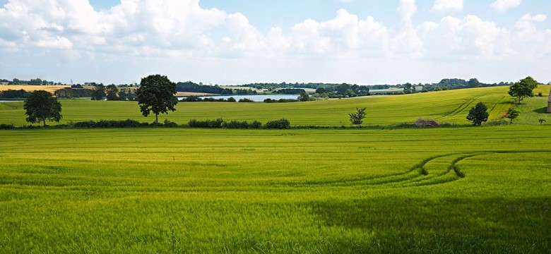 Szlachecka fortuna w rękach dziecka. Sensacyjna historia 11-latki, która przejęła ziemię za 27 mln euro