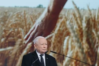Jest gorzej niż źle. Nadchodzi totalny kryzys w rolnictwie. Politycy już to wykorzystują