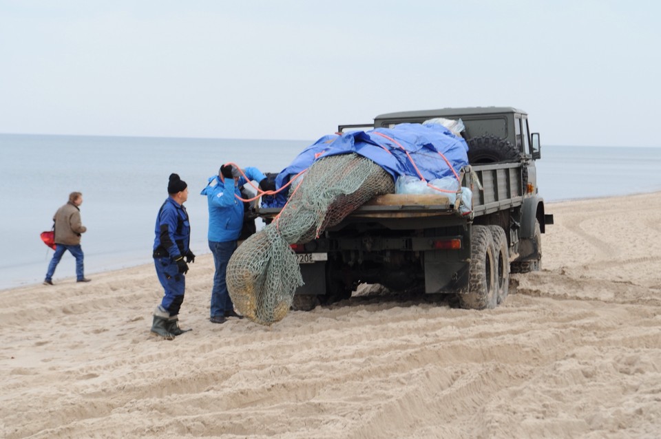 Martwy waleń na plaży w Unieściu