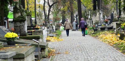 Zostań kwestarzem na Wszystkich Świętych