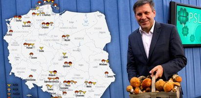 Stąd grzybiarze wychodzą z pełnymi koszami [AKTUALNA MAPA GRZYBÓW]