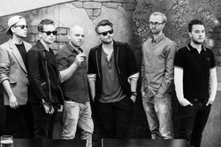 Muchy nie znalazły jeszcze swego miejsca