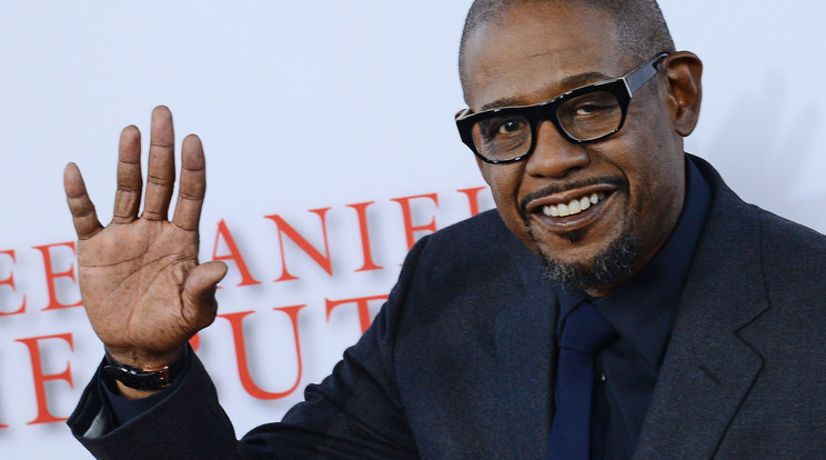 Forest Whitaker évek óta harcol egy jobb világért / Fotó: Northfoto