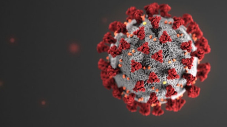 COVID-19 Vaccine: WHO welcomes scientifically-proven traditional medicine