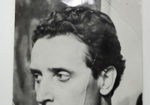 Stevo Žigon