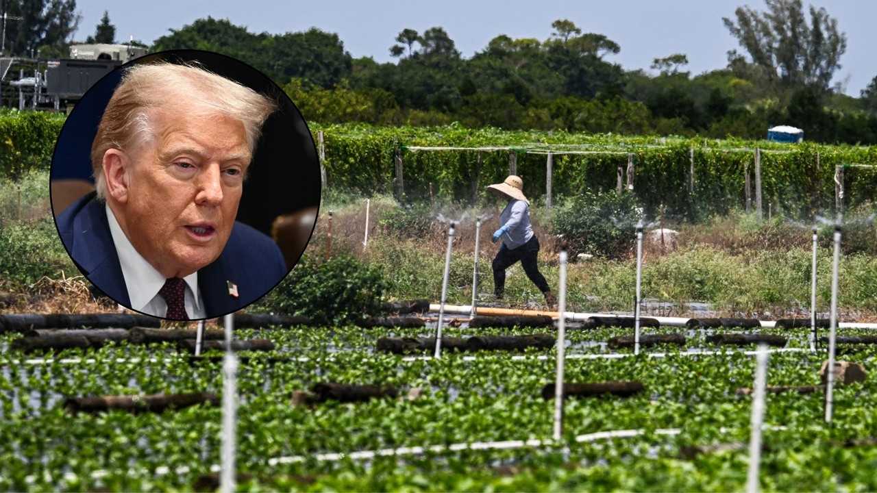 Paralysis in the USA. Donald Trump himself is putting obstacles in the way of the American economy. "We are afraid"