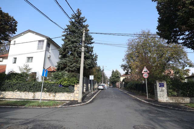 Vila Gorana Bregovića