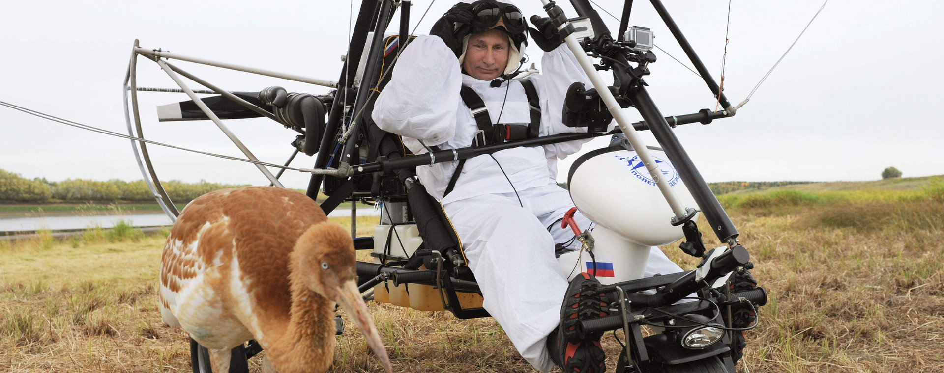 Prezydent Putin na motolotni, przy nim młody biały żuraw, 6 września 2012.