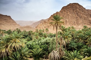 Maroko: Kolejne zatrzymania w związku z zabójstwem turystek